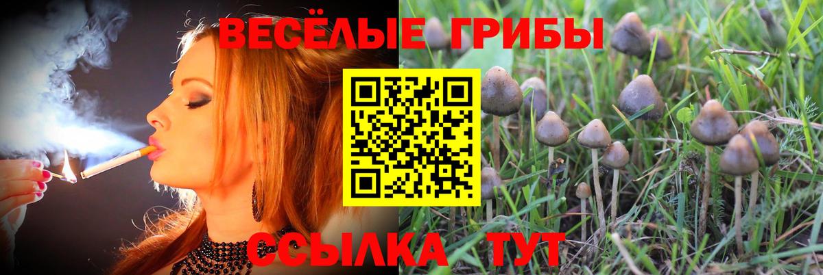 Галлюциногенные грибы мухоморы Сердобск